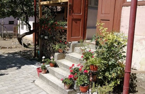 Saliste House | Out of the ordinary - Rural Living in Transylvania