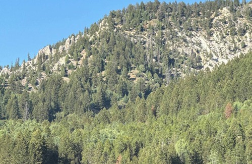 Alpine House | Outdoor Play or Relax Paradise Incredible Mtn View