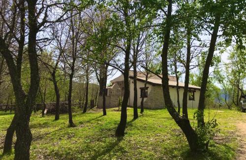 Fonni House | Ovostolai Cottage