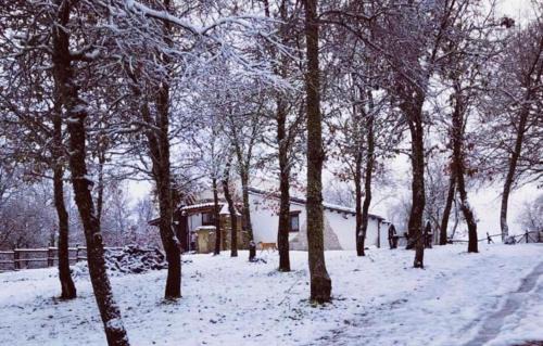 Fonni House | Ovostolai Cottage