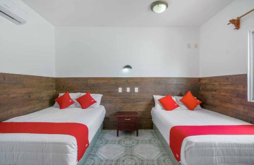 Francisco Uh May Hotel | OYO Hotel Palma Real