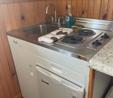 Lebanon Apartment | Ozark Hills Lodge Dogwood Suite-pet friendly, 2 miles from Bennett Springs