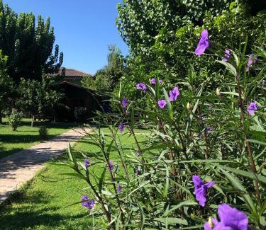 Cirali Resort | Ozge Bungalow Hotel