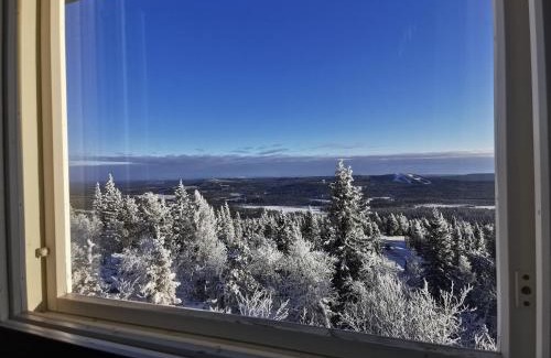 Syote Apartment | Pöllönpesä Iso-Syöte