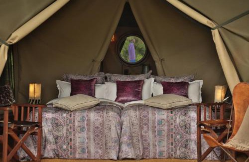 Ngorongoro Conservation Area Other | Pakulala Safari Camp - Ngorongoro
