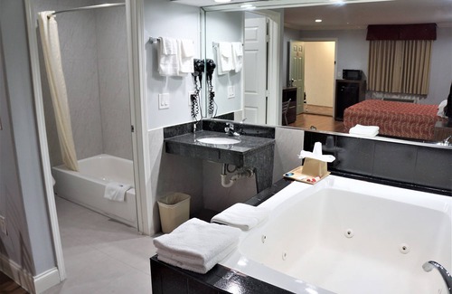 Brookhollow Hotel | Palace Inn - Antoine