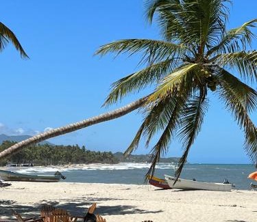 Palomino House | Palm Beach Hostal
