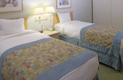 Indian Canyon Resort | PALM CANYON RESORT #2n