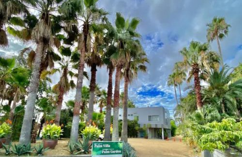 Chokushi Cho House | Palm Villa - Vacation STAY 12202