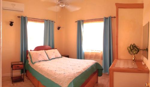 Hillsborough House | PalmVille
