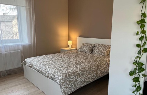 Regi Apartment | Palova Brown