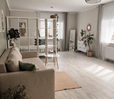 Regi Apartment | Palova Green