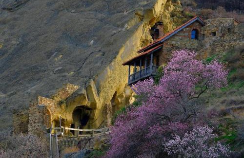 Udabno House | Panorama