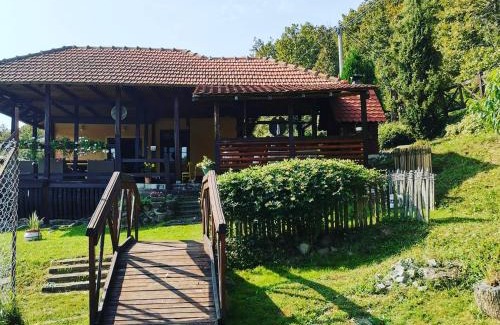 Central Serbia Apartment | Pansion Savinac