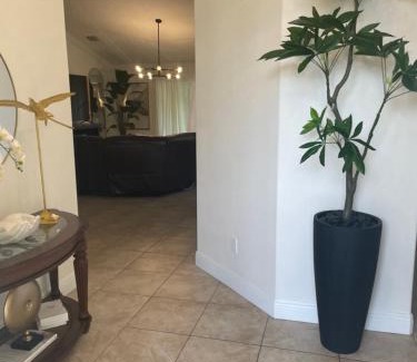 Port Saint Lucie House | Paradise Island