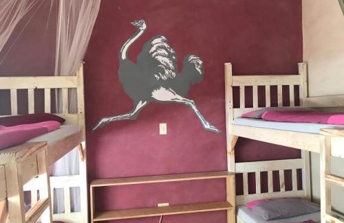 Windhoek West Hostel | ParadiseGarden Backpackers