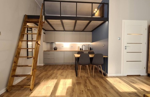 Gniezno Apartment | Park Apartment with Mezzanine