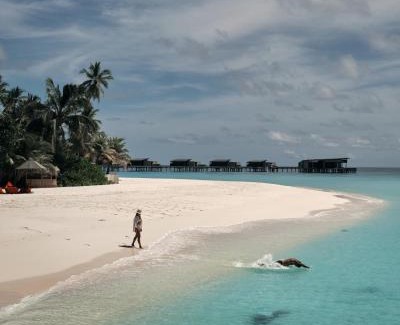 Hadahaa Resort | Park Hyatt Maldives Hadahaa