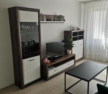 Panevezys Apartment | Parko apartamentai