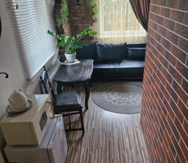 Birzai Apartment | Pas Ligita
