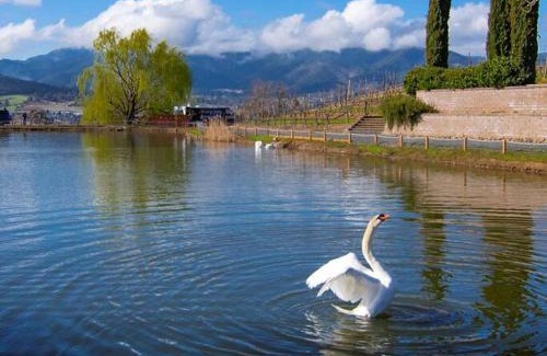 Talent Apartment | Paschal Winery - Water's Edge
