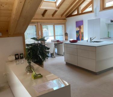 Zweisimmen Apartment | Pegasus