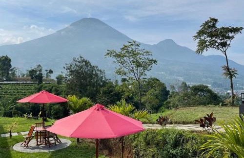 Wonosobo House | Pelataran Seroja Villas