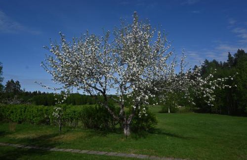 Djuras House | Pellas Gård