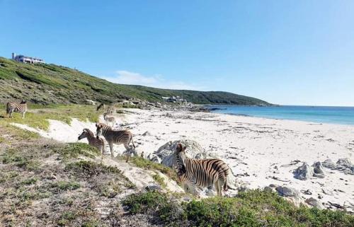 Gansbaai House | Peninsula Villa - Romansbaai