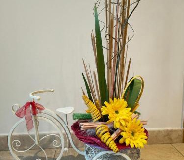 Salceda House | Pension Albergue Alborada