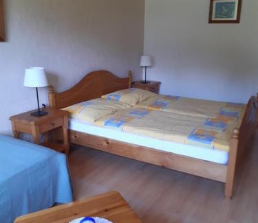 Lenk Hotel | Pension Alpina
