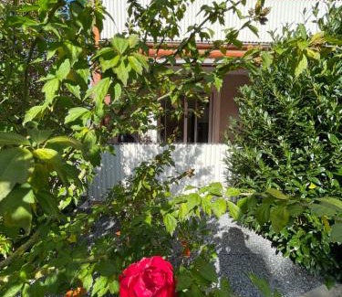 Loehne Apartment | Pension Braun - Dein Ankerplatz