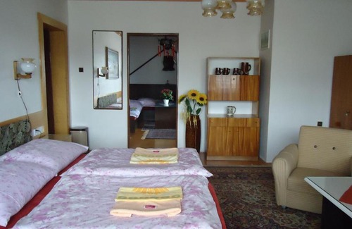 Vrbno pod Pradedem House | Pension Dana