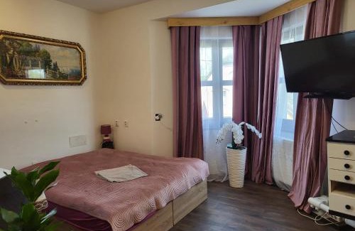 Choustnikovo Hradiste House | Pension Doctor