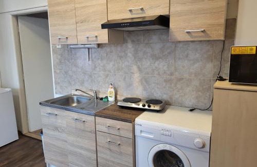 Choustnikovo Hradiste House | Pension Doctor