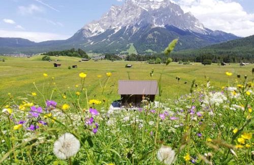 Lermoos House | Pension Garni Hochmoos