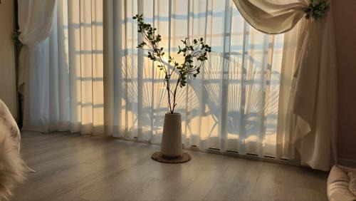 Downtown House | Pension Haneul Tari