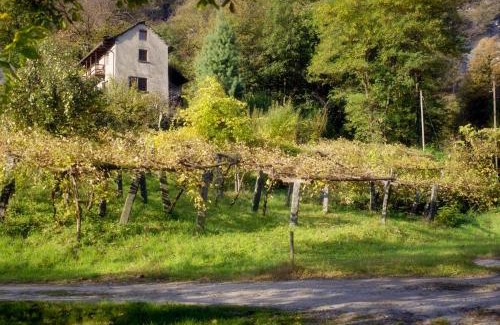 Coglio House | Pensione Boschetto
