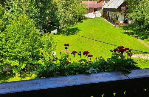 Albac House | Pensiunea Aurora Albac