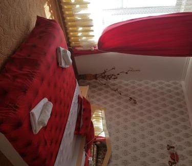 Piatra Neamt House | Pensiunea BRADU