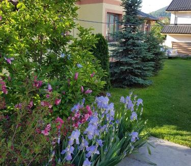 Piatra Neamt House | Pensiunea BRADU