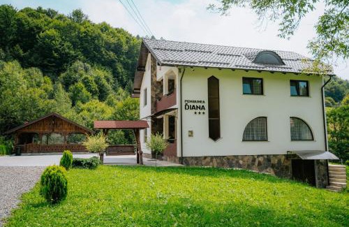 Moisei House | Pensiunea Diana