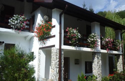 Riu de Mori House | Pensiunea Dumbrăvița