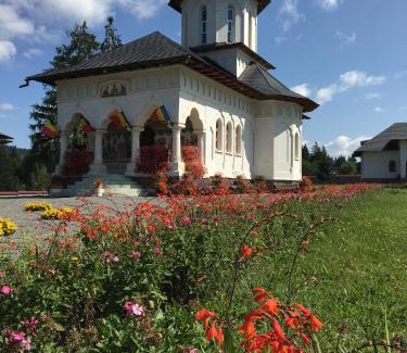 Izvoru Muresului House | Pensiunea Gentiana