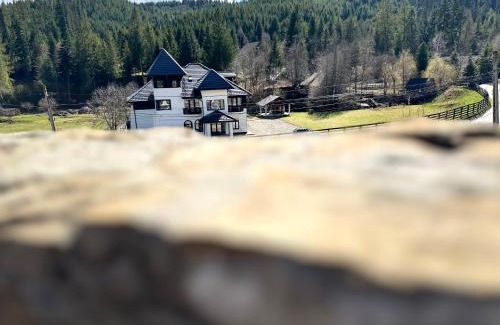 Manastirea Humorului House | Pensiunea La Brazi