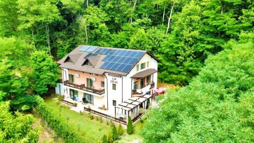 Copacelu House | PENSIUNEA LUI CALIN