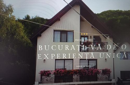 Tirgu Ocna House | Pensiunea Magura Ocnei