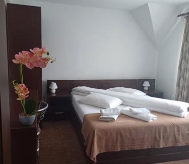 Tirgu Ocna House | Pensiunea Magura Ocnei