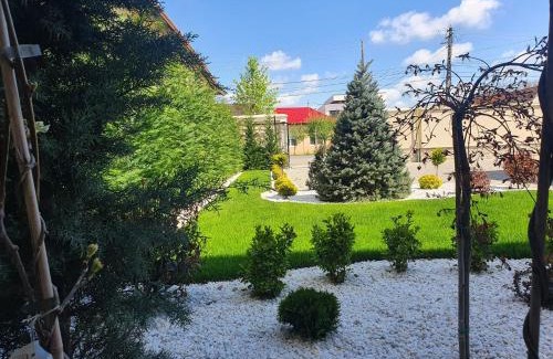 Arad House | Pensiunea Mystique