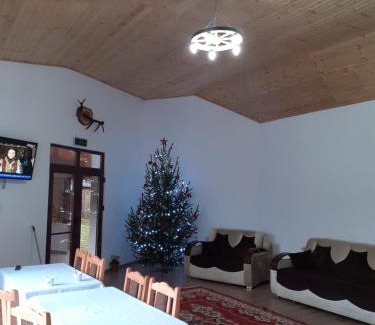 Malaiesti House | Pensiunea Narcisa cu Ciubar